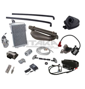 MOTEUR ROTAX MAX DD2 2