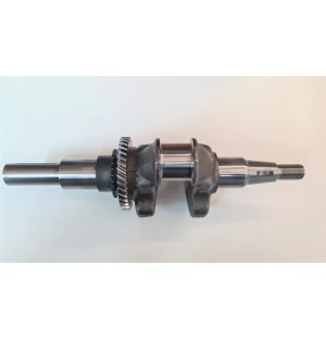 VILEBREQUIN SUBARU EX 40 (25MM) 2