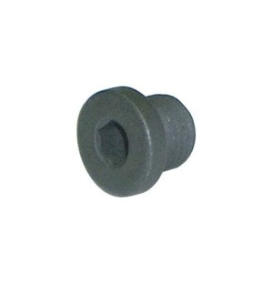 VIS COUVERCLE POUR POMPE DE FREIN HYDRAULIQUE (M10)