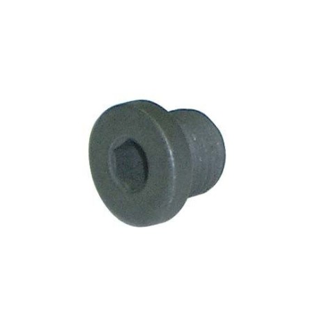 VIS COUVERCLE POUR POMPE DE FREIN HYDRAULIQUE (M10)