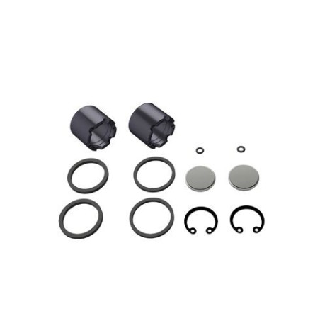 KIT DE REVISION D'ÉTRIER ARRIÈRE AP-RACE 01