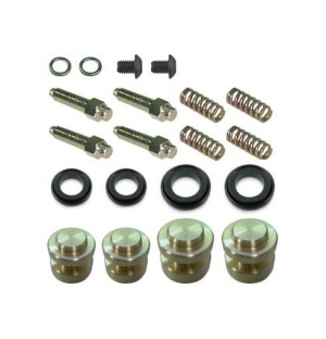 KIT DE RÉVISION ÉTRIER HYDRAULIQUE ARRIÈRE - EUROSTAR