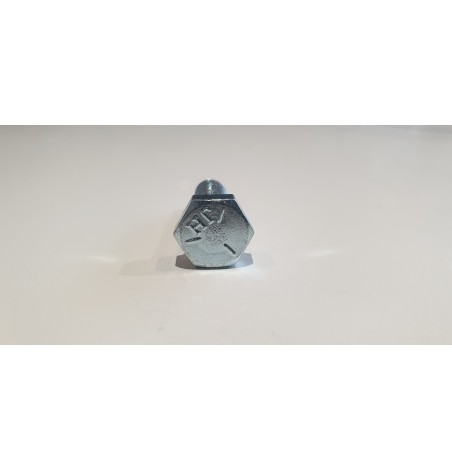 VIS TH 5/16-25 FIXATION EMBRAYAGE SUBARU/WORMS EX 13